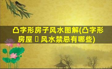 凸字形房子风水图解(凸字形房屋 ☘ 风水禁忌有哪些)